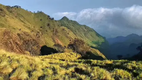 salah satu spot ikonik di merbabu via thekelan dengan daya tarik nan pesona bukit bukit landscape yang bergelombang nan indah #merbabumountain #mentahanvideo #nature #pendakigunung #fypシ゚viral 