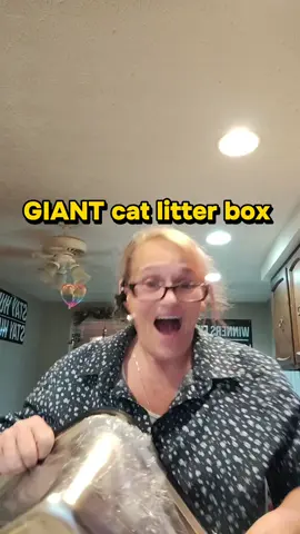 I Fully Enclosed Stainless Steel Cat Litter Box - Dual Entry, Odor-Lock Design, 23.6in x 15.75in x 15.75in Litter Pan, Litter  bix black friday special#SummerWins #SummerVibes #cat #catsoftiktok #cats 