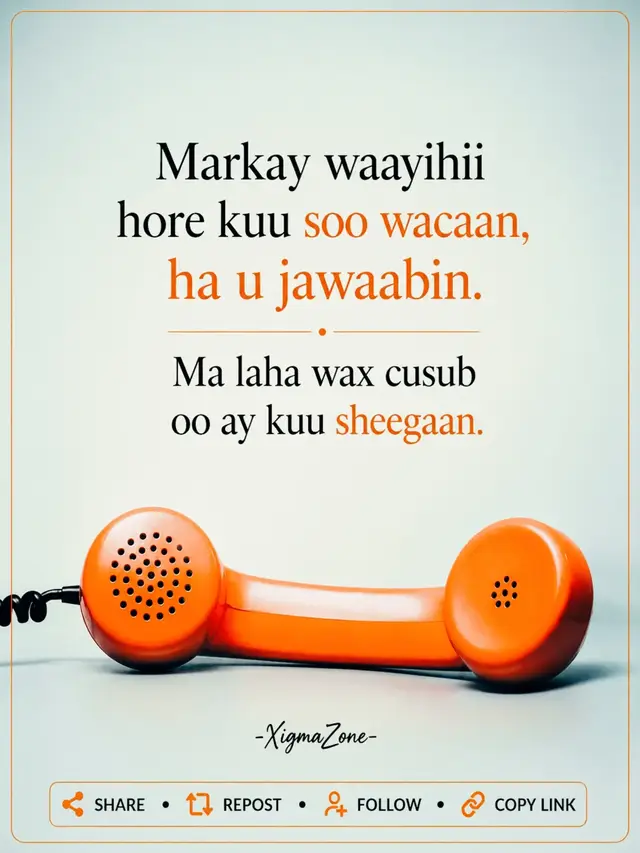 ​#NoloshaCusub #Mustaqbalka #Dhiirigalin #Xikmad #KaTagShalay  Qofka indhaha ku haya meeshii uu shalay ka dhacay wuxuu ka huraa inuu arko jidka toosan ee maanta hor yaalla nolosha horey ayay u socotaa, adiguna ha u hakin shalay.