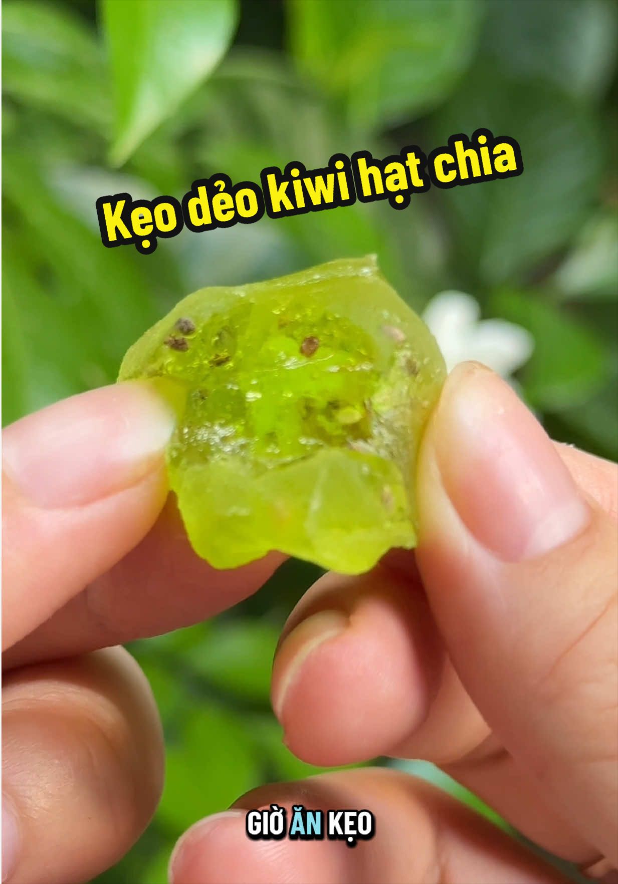 Kẹo dẻo kiwi hạt chia #keodeo #keodeokiwi 