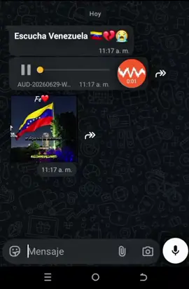 escuchá Venezuela 🇻🇪🇻🇪#viral #vallenatosparadediacar #parati 