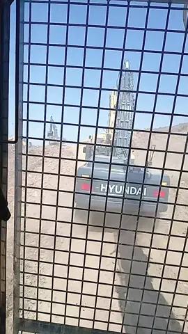 #تهلاو 