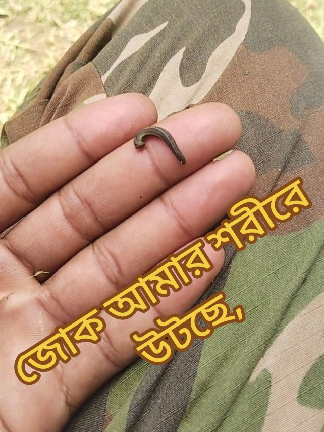 নওগাঁ জেলা তে এটা কে জোক বলে... #নওগাঁর_ছেলে_সোহাগ 
