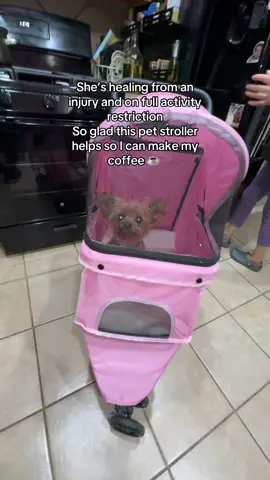 So glad this pet stroller has other uses #petstroller#dogstroller#catstroller#petproducts #tiktokshopcreatorpicks 