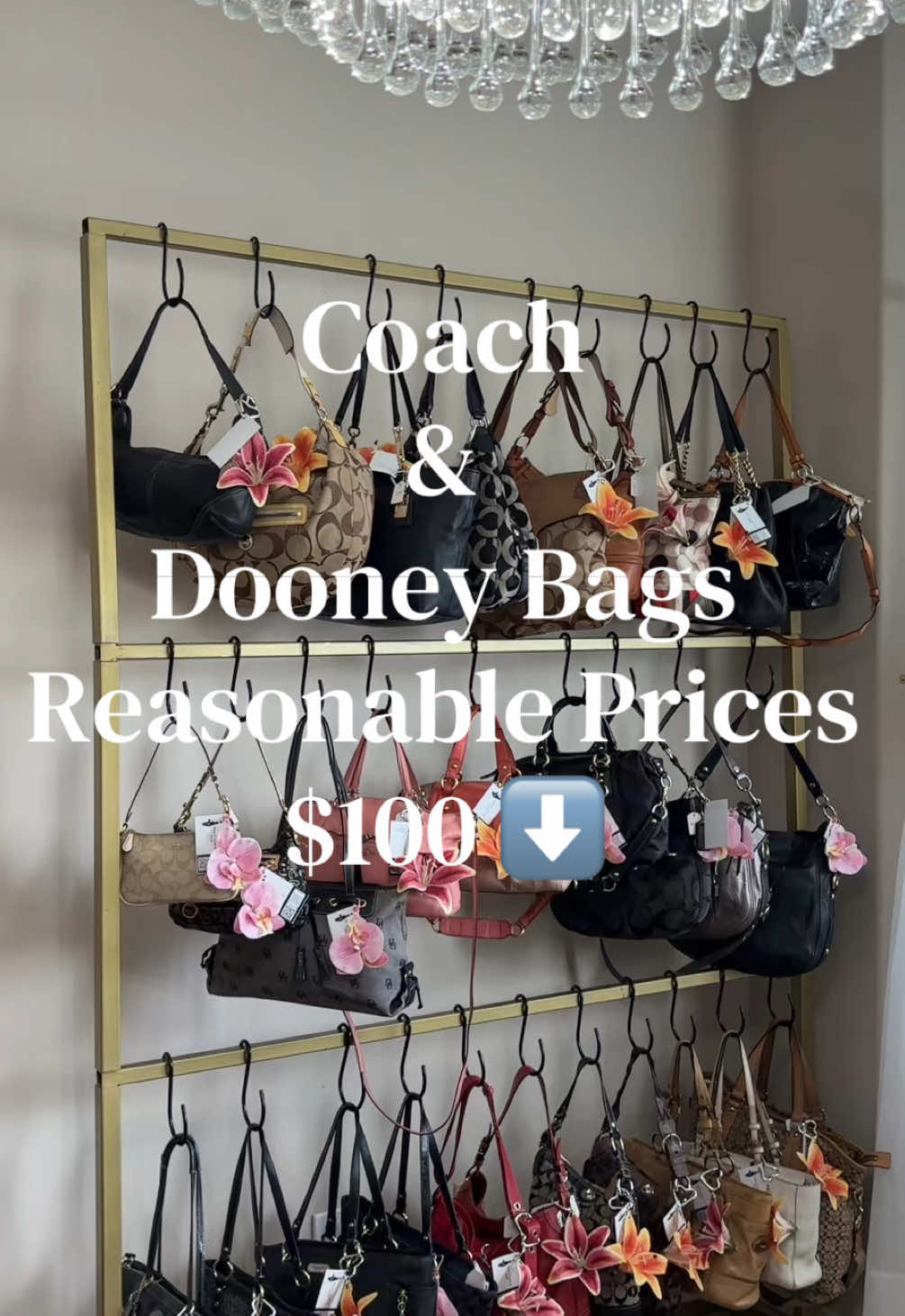 #vintagecoach #fyp #coachgirly #dooneyandbourke 