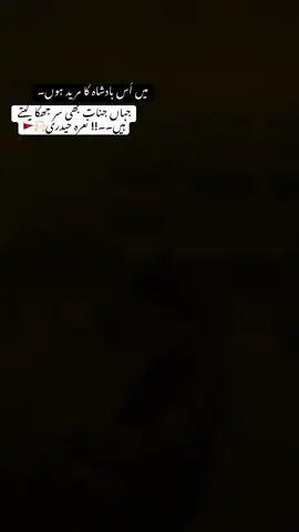 Ya Aliع 🙌🏻🚩 #muharram #fypシ゚ #unfrezzmyaccount #dontunderreviewmyvideo #creatersearchingsight 