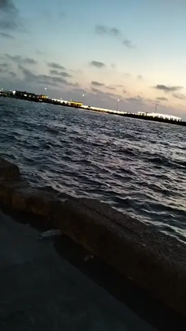تعيش وتفتكرني #ورده_الجزائريه 