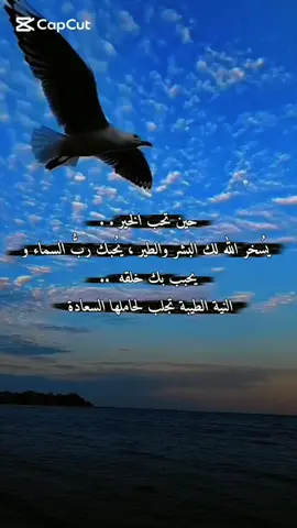 #CapCut حين تحب الخير . .  يُسخر الله لك البشر والطير ، يُحبك ربُّ السماء و يحبب بك خلقه  ..  النية الطيبة تجلب لحاملها السعادة ❤ #tiktokindia #اكتب_شي_توجر_عليه #ستوريات #اكسبلور 