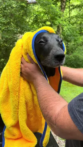 Si tienes un perro, sabes exactamente de lo que hablo. 🐶💦 ¿El tuyo también sacude toda el agua apenas termina el baño? 😂 Cuéntamelo en los comentarios. #dealsforyoudays #SummerWins #SummerDeals #sumervibes #dogs 