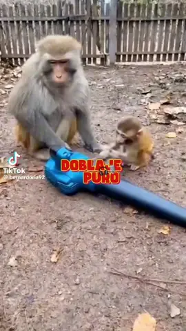 🤣🤣🤣🤣🤣🤣🤣