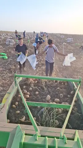 #الجنابي وحش_🥷🦁  #🤍_____________🎶__________ #مشاهير🥔_زراعه🌱🥔🥔_💸😎🇮🇶العراق🦅😎🦅العراق 