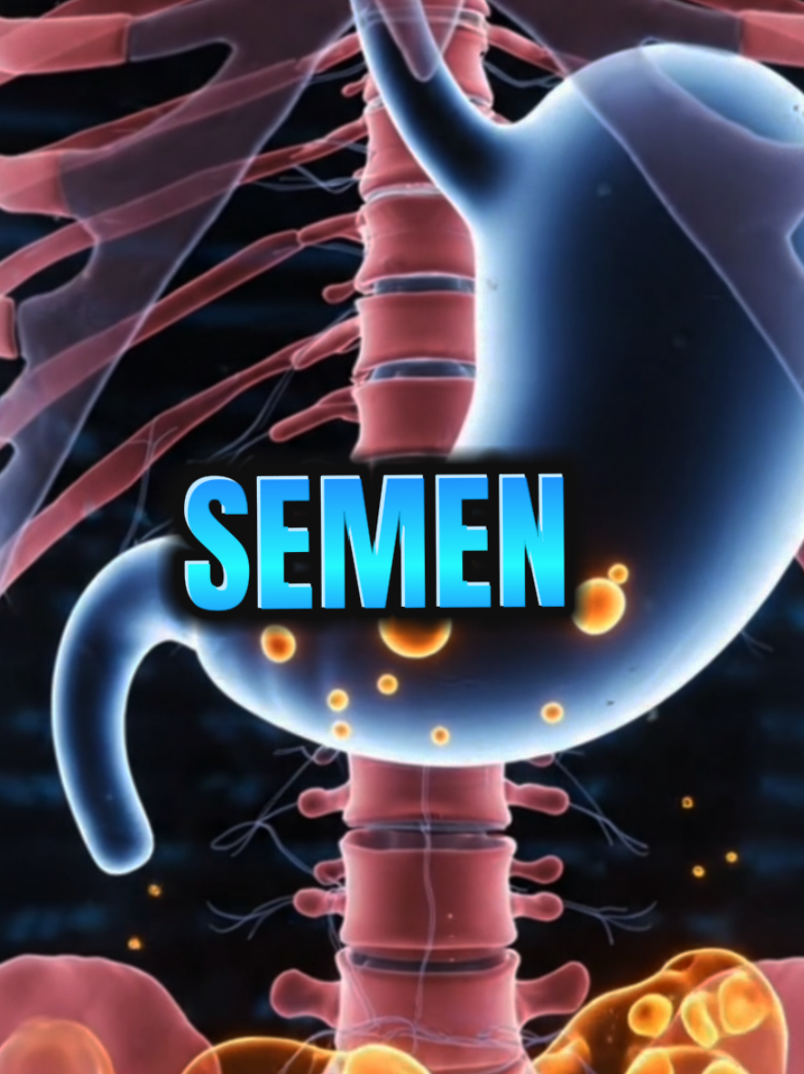 Did you ever swallow your partner's white fluid? Here's what actually happens inside human body. #Science #Health #education #humananatomy #LearnOnTikTok 