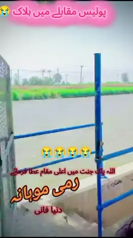 #foryou #foryoupage #foryoupage❤️❤️ #foryoupage #foryoupage❤️❤️ @🫣BAلOسH👀 صاحب🦅 