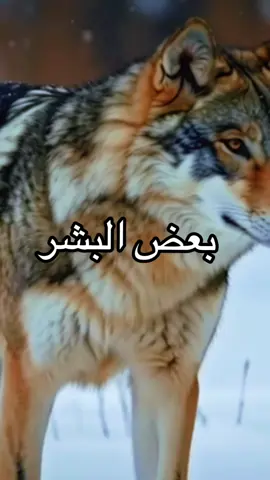 🫶🤲 الله يعافينا الحمد لله دائما وأبدا🫶🤲