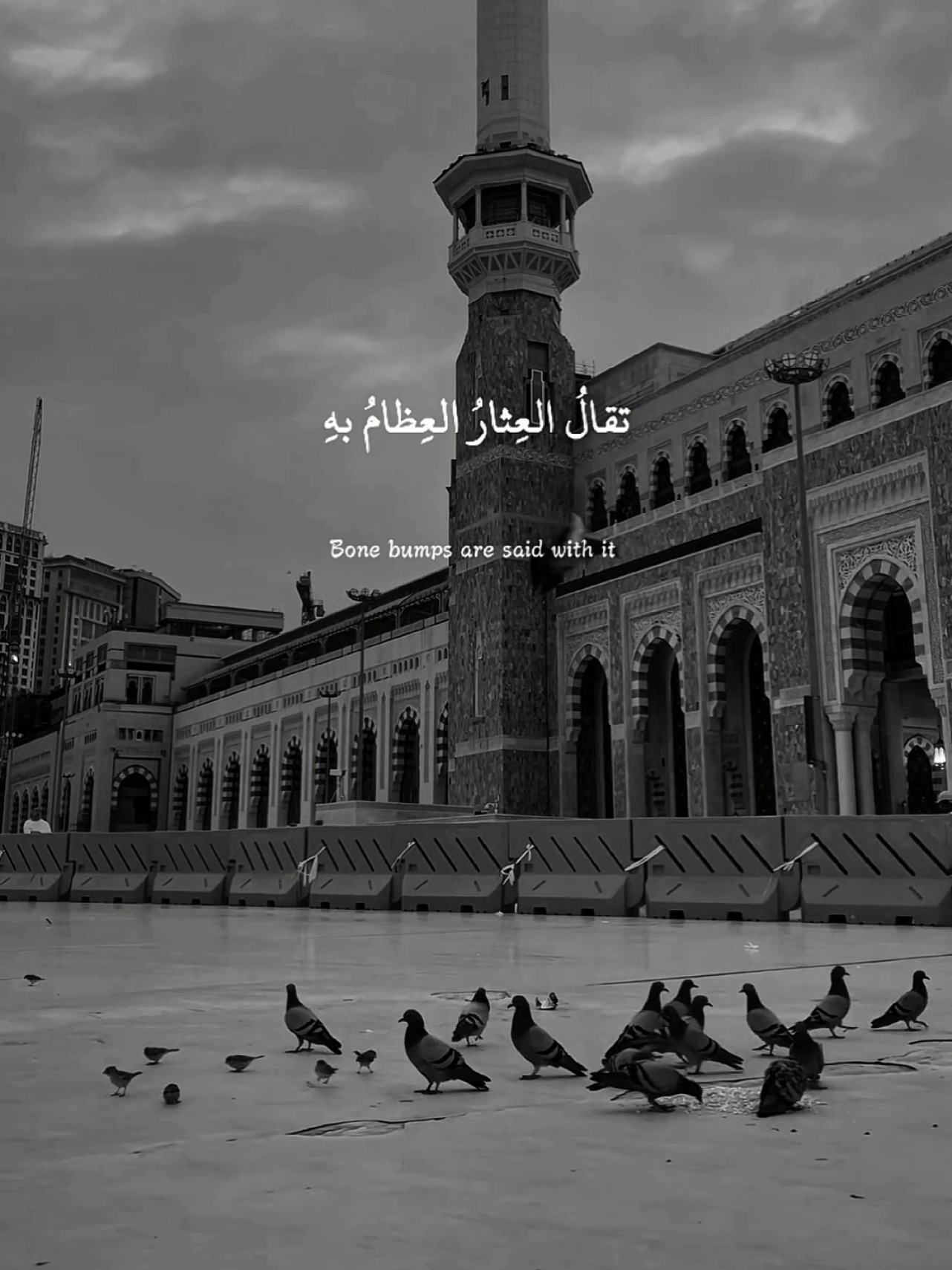 Peaceful Nasheed 🌑🫀🎧  . . #nasheed #darkedit #tiktokgrowthchallenge #islamicvideo 