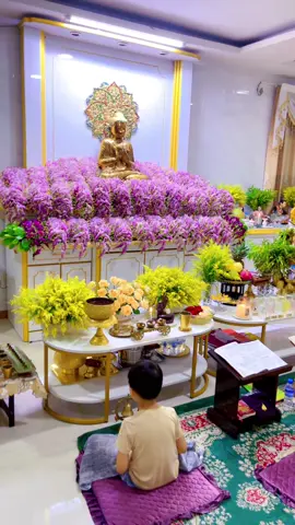 #အမြဲညစဉ်ညတိုင်း ဘုရားရှိခိုး ဘုရားစာရွတ်ဖတ်ပူဇော် တရားထိုင် ပေးကြလို့ ကျေးဇူးတင်ရပါတယ် မေမေ့ကလေးလေးတွေရေ❤️❤️#ဘုရားရှိခိုး #🙏🏻 #အေးချမ်းပြည့်စုံကြပါစေ🌿🌸🙏🌿 #ကုသိုလ်တွေထပ်တူရပါစေ 