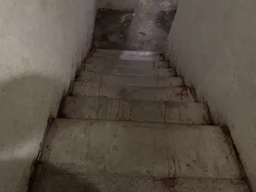 Держать в неволе — это значит лишать живое существо свободы и не позволять ему самостоятельно жить, передвигаться или покинуть место содержания. В неволе могут содержаться люди и животные, но причины, условия и последствия бывают очень разными. Что означает неволя Неволя — это состояние, при котором свобода ограничена. Тот, кто находится в неволе: не может свободно уйти; вынужден жить в определённом месте; зависит от других в вопросах еды, воды, безопасности и медицинской помощи; не может самостоятельно принимать многие решения. Когда говорят «держать в неволе» Это выражение используют в разных ситуациях: Животные в зоопарках, океанариумах, питомниках или дома. Их жизнь полностью зависит от человека. Некоторые животные рождаются в неволе и никогда не жили в дикой природе. Плен. Во время войн или вооружённых конфликтов людей могут удерживать против их воли. Незаконное лишение свободы. Это преступление, когда человека удерживают силой, угрозами или обманом, не позволяя ему уйти. Исторический контекст. В прошлом в неволе могли находиться рабы, пленники или заложники. Особенности жизни в неволе Условия могут сильно различаться: пространство обычно ограничено; распорядок дня определяется тем, кто содержит; пищу и уход предоставляет другой человек; естественное поведение может быть ограничено. Последствия Для животных: могут быть безопасность, лечение и регулярное питание; одновременно могут возникать стресс, скука, недостаток движения и невозможность вести естественный образ жизни. Для людей: потеря свободы; психологический стресс и чувство беспомощности; ограничение общения и самостоятельности. Примеры «Тигр много лет жил в неволе в зоопарке». «Птицу держали в неволе в клетке». «Заложников несколько дней держали в неволе». «Некоторые редкие животные временно содержатся в неволе для лечения или сохранения вида, после чего их стараются вернуть в естественную среду». Таким образом, держать в неволе — это удерживать человека или животное в условиях, где их свобода полностью или частично ограничена и они не могут самостоятельно покинуть место содержания. Иногда это делается законно и с целью защиты (например, лечение животных или исполнение судебного наказания), а иногда является незаконным и нарушает права человека или нормы обращения с животными. #trauma #victim #memory #nostalgia #vibe #fyp #on #глобальныерекомендации 