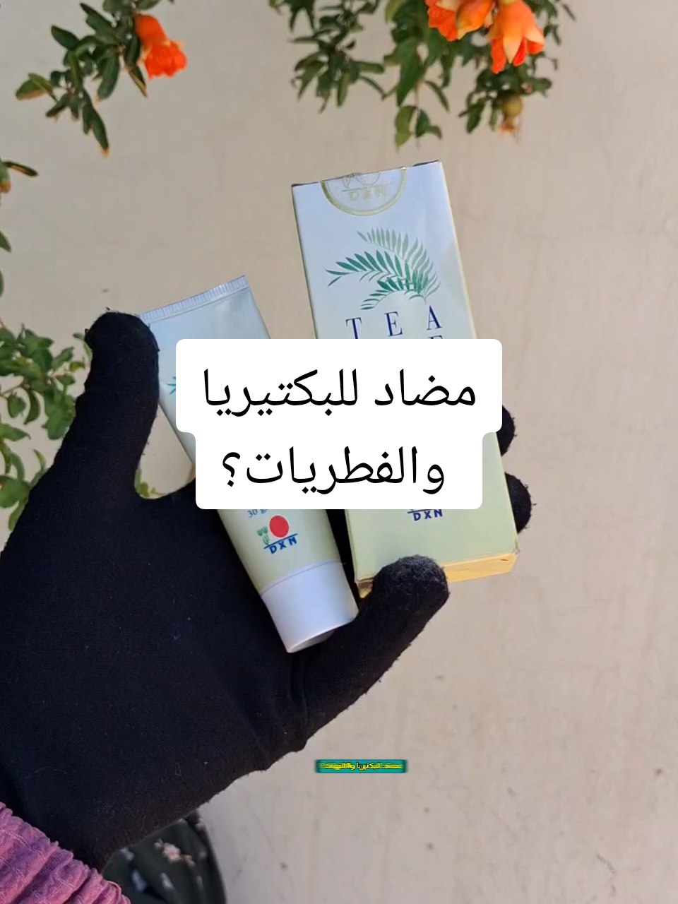 كريم شجرة الشاي من شركة dxn الماليزية 💪 ✨️ . السعر بالتخفيض 12 ألف والتوصيل خمستالاف لأغلب العراق 🇮🇶 للحجز والاستفسار التواصل على الخاص 📩 كبل لا تخلص الكمية 📩  . #كريم_شجرة_الشاي #كريم_الشاي #نصائح #بشرة_صحية #وصفات 