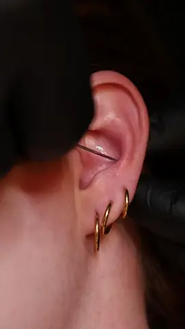 Conch piercing done right ✨ #piercing #montreal 