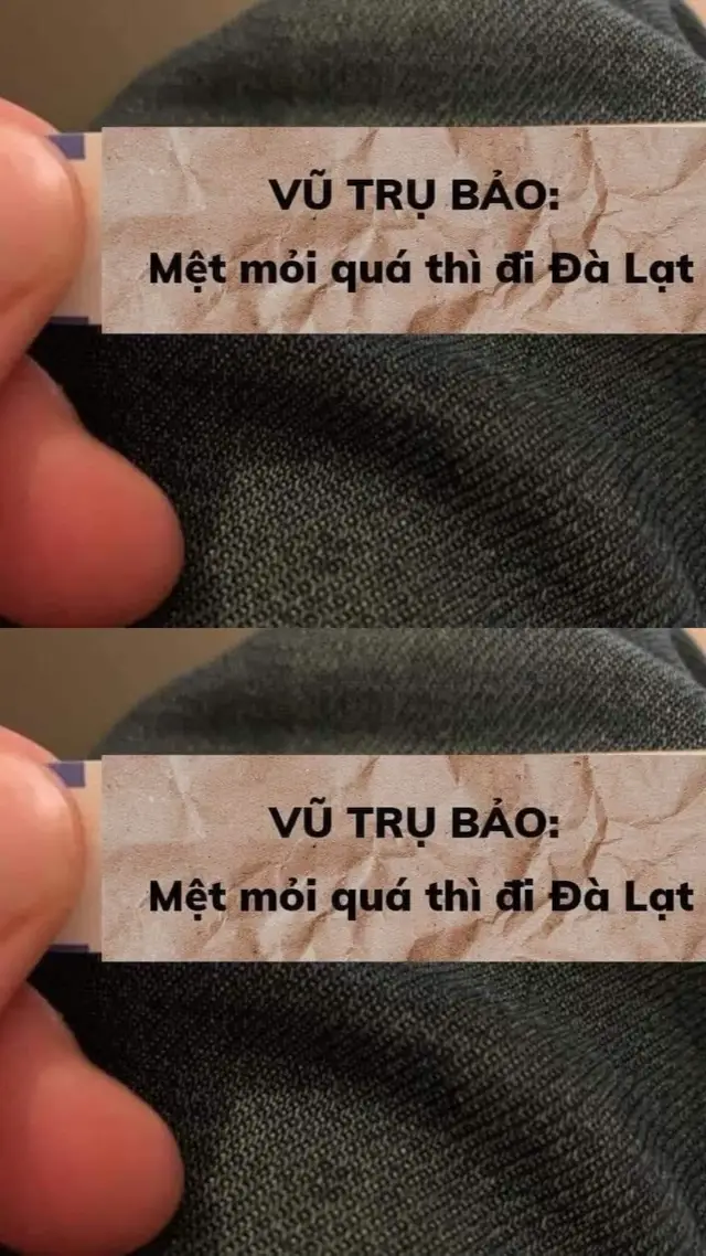 Quá mê Đà Lạt 🎄 #Dalat #viral #xhuongtiktok 
