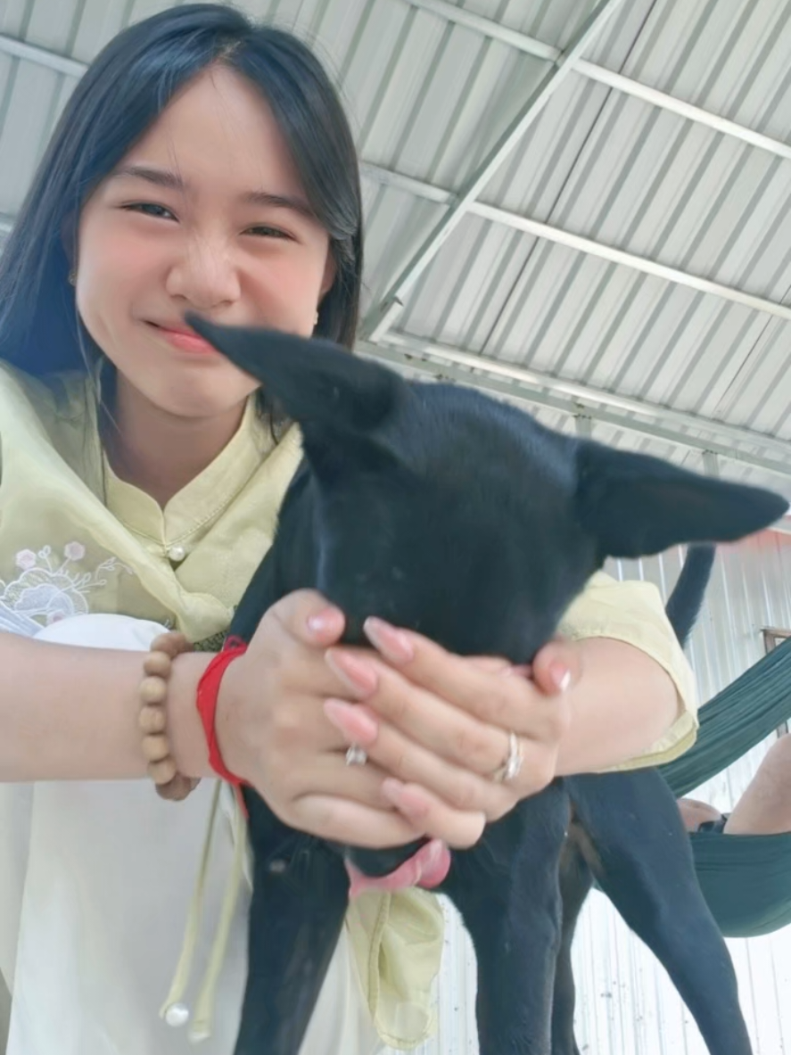 nằm giống ba em ạ, cưng của em bị dính ghèn trên 👁 rồi
