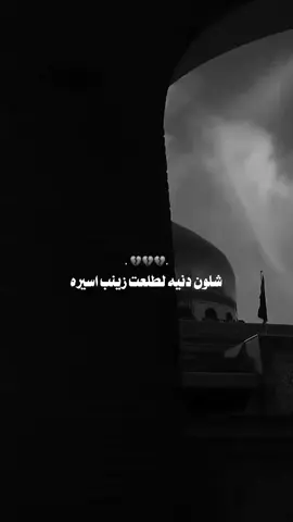 شلون دنيه طلعت زينب اسيره💔😔#حيدر_البياتي  . ..  . . . . . . . . #foryou#fyp#سيدة_زينب#شيعة