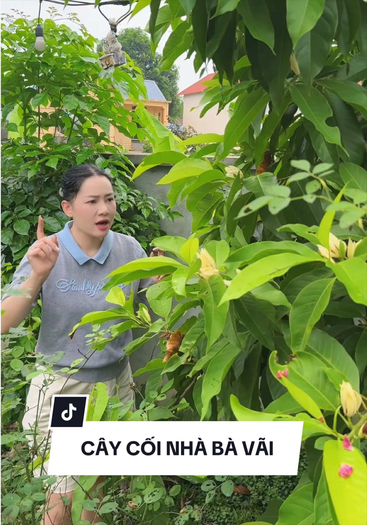 Có bác nào biết cây hoa này không ạ