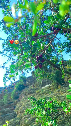 #❤️🎧🥹🌾🎶❤️‍🔥🥺💔🥀#🌻❤️‍🔥🥹❤️🎧☠️🎶🌾🎧