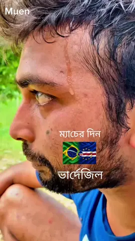 ভার্দেজিল 