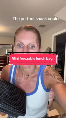 #cerbonny #cerbonnyfreezablelunchbag #cerbonnycoolerbagcuteche this is perfect to keep your snacks cold and small enough to take anywhere! 