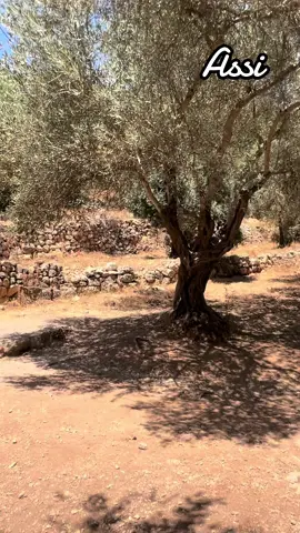 ‏الإنسانُ جاهلٌ نفسَه حتى يأتي من يعلّمُه.
