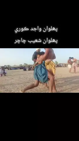#پھلوان #واجد #ڪوري❤️❤️ ڪامياب ✌️👑🔥