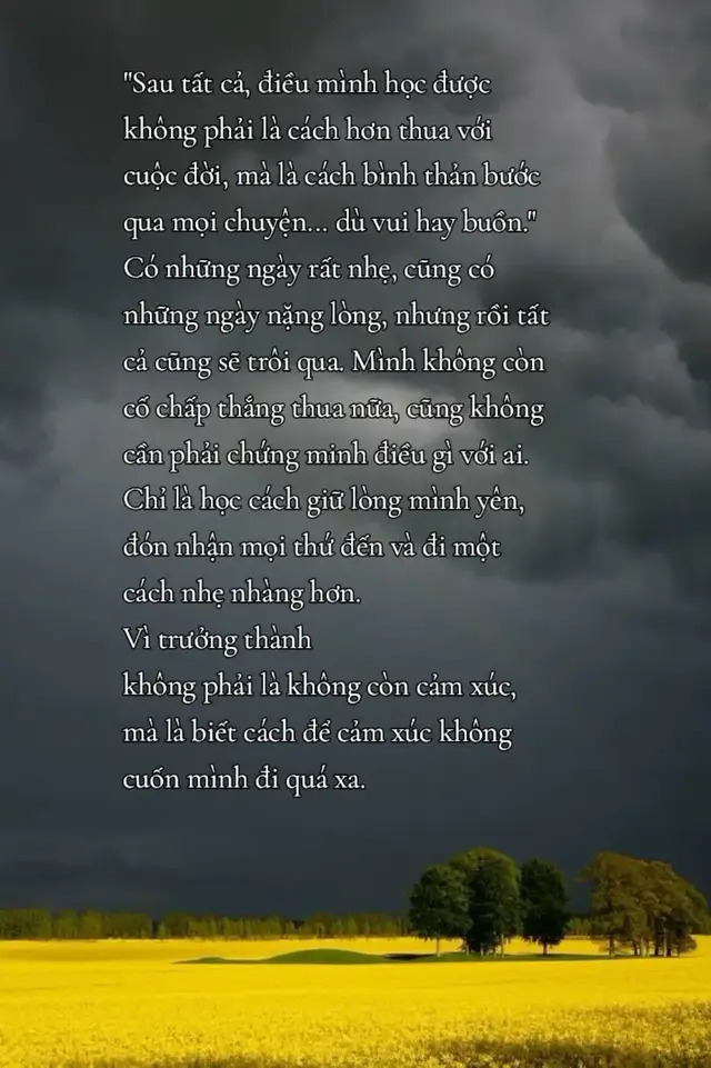 Sau tất cả, điều mình học được không phải là cách để hơn thua với cuộc đời, mà là cách để bình thản bước qua mọi chuyện, dù vui hay buồn...