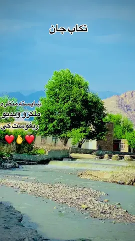#creatorsearchinsights #fytシviral🍀 #fytシviral🍀 #fypシ゚viral🖤tiktok #فاریوپروڈیوچلاویارو 
