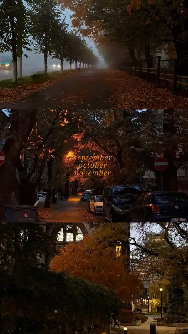 I love september, october and november.. my favourite fall season 🍁🎃 #autumn #fall #spookyseason #autumnaesthetic #fallaesthetic 