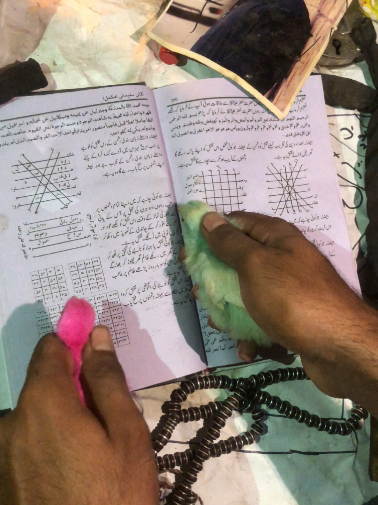 #blackmagi #viralvideos #foryoupage #wazifa #fypジ 