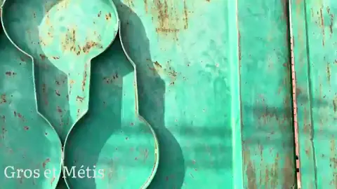 La GO de Métis 😂😂 #vidéoviral  #pyyyy #comedyvideo 