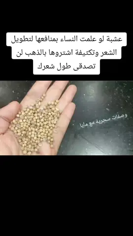 عشبة لو علمت النساء بمنافعها لتطويل الشعر وتكثيفة اشتروها بالذهب لن تصدقى طول شعرك#explorer #foryou #foryoupage #fyp #viral 