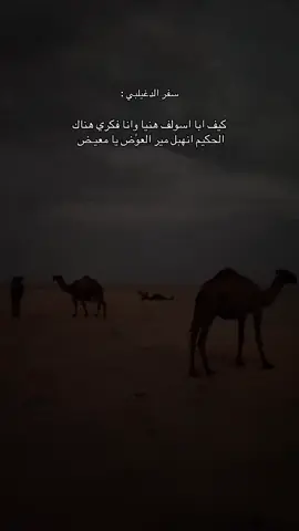 #البل #عطيالله🐪 #النايفات #اكسبلورexplore #قمرا 