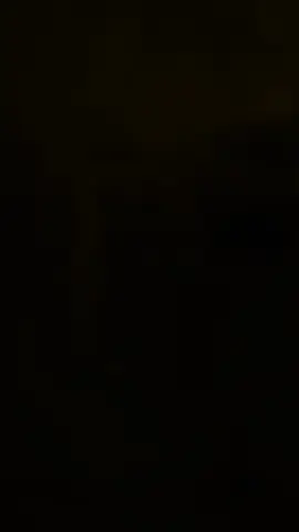 #CapCut 