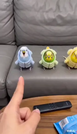 funny#funny #cutepetvideos #fyp #birdsoftiktok #pet 