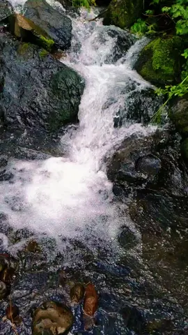 #cristoteama #creacion #naturaleza #fypシ゚viral 