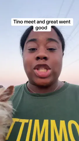 Tino meets a friend #yorkie #fyp #viral #PetsOfTikTok #trending 