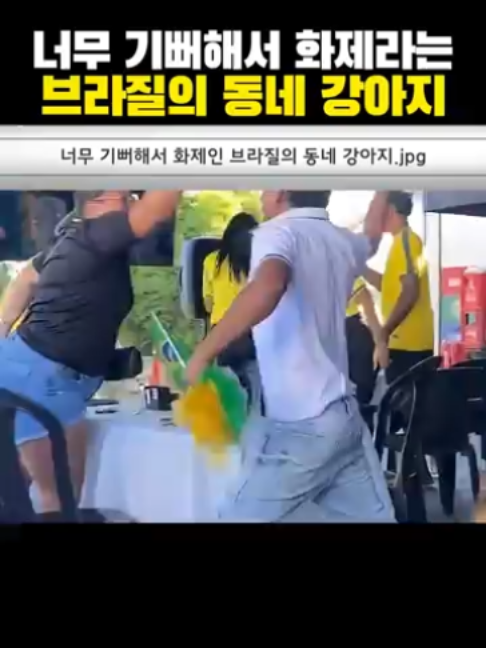 ‘너무 기뻐해서’ 화제라는 브라질의 동네 강아지？ㅋㅋㅋ