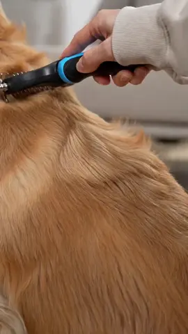 Stop pet hair struggles! 🐶 This brush removes loose fur EASY 🔥 #DealsforYouDays #PetGrooming #DogHairRemoval #PetEssentials #TikTokMadeMeBuyIt