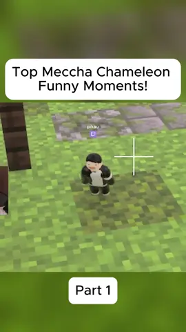 Top Meccha Chameleon Funny Moments! #mecchachamaleons #viral #fyp #trending #funnyvideo 
