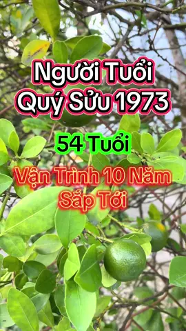 Tử vi người tuổi quý sửu 1973 54 tuổi vận trình 10 năm sắp tới sẽ như thế nào #tuvi #tuvi12congiap #phongthuytamlinh #phongthuy #phongthuycaivan 