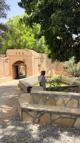 صباح الخير من قرية الوادي الأعلى 🇴🇲