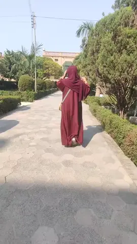 tol mi werka vi ho za mankira ya🥰🫰#ptmzindabad #afganistan🇦🇫 #unversity #creatorsearchinsights #creatorsearchinsights 
