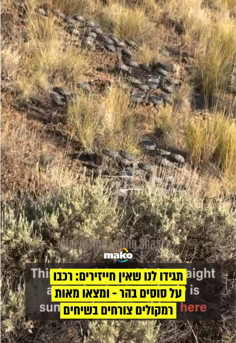 אם ובתה שיצאו לרכיבה על סוסים בהר שסטה שבצפון קליפורניה נתקלו במחזה הזוי בין השיחים: שורות של רמקולים סולאריים שהוסתרו בשטח והשמיעו צלילים מטרידים. קארי אן סנור ובתה ג'ורדן רכבו באזור כששמעו רעש צורם, גבוה וממושך. הן תיארו אותו כצליל 